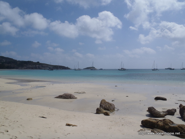 Thumbnail Photo